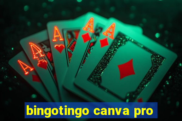 bingotingo canva pro